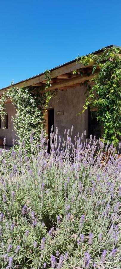 Tikaykilla Lodge & Wines Maipú Εξωτερικό φωτογραφία