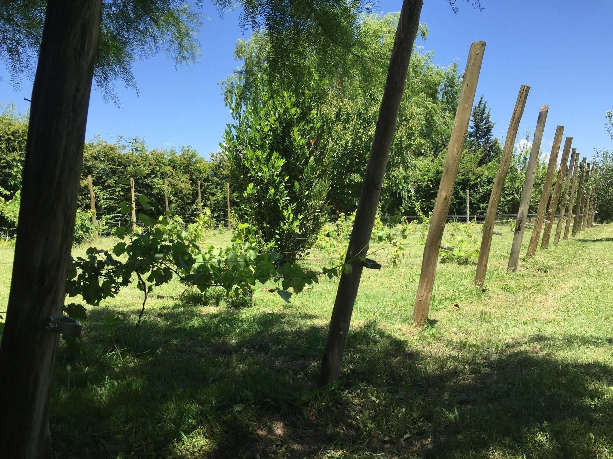 Tikaykilla Lodge & Wines Maipú Εξωτερικό φωτογραφία