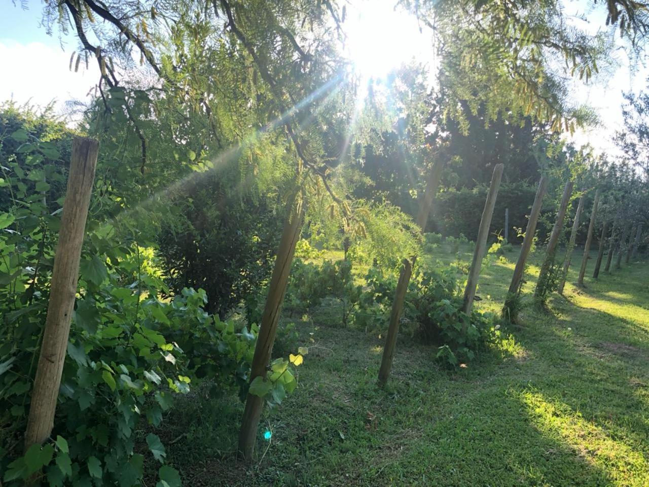 Tikaykilla Lodge & Wines Maipú Εξωτερικό φωτογραφία